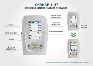 СКЭНАР-1-НТ (исполнение 01)  в Нижнем Новгороде купить Медицинская техника - denasosteo.ru 