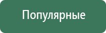 пояс электрод